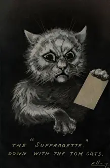 Fierce Prints: Suffragette Down with Tom Cats