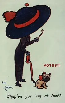 Remarks Prints: Suffragette Votes Got em at Last