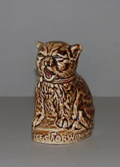 Ceramic Prints: Suffragette Votes for Women Ceramic Cat