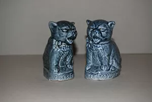 Demand Collection: Suffragette Votes for Women Ceramic Cats