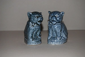 Images Dated 17th October 2013: Suffragette Votes for Women Ceramic Cats