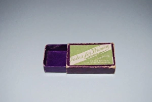 Absolute Gallery: Suffragette Votes for Women Hooks & Eyes