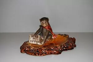 Images Dated 17th October 2013: Suffragette Votes for Women Monkey Dish