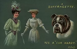 Hardy Gallery: Suffragettes and Dog Cur Hardy