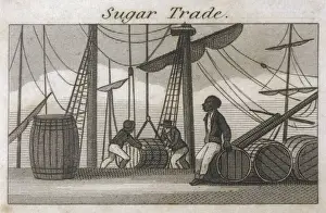 SUGAR AT BRISTOL 1823