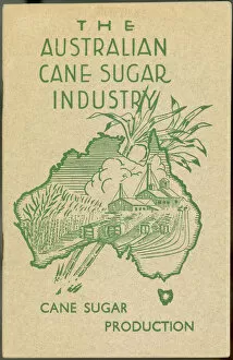 Sugar Cane Industry 1936