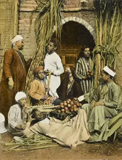 Sugar Cane Sellers / Market, Cairo, Egypt
