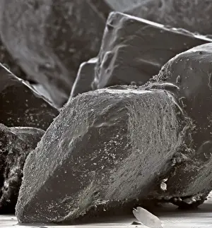Sugar grains