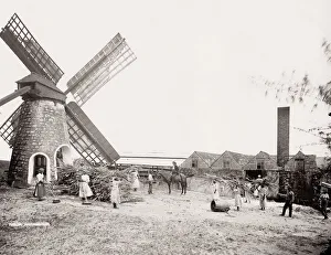 Indies Prints: Sugar processing mill, windmill, Barbados, West Indies