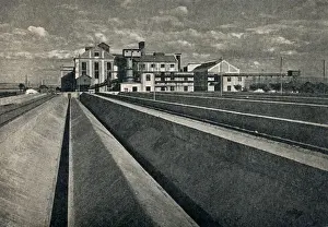 Refinery Prints: Sugar Refinery in Usak, Turkey