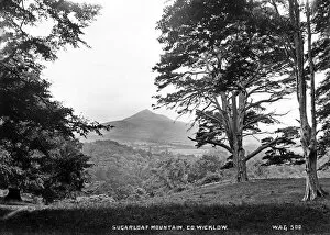Sugarloaf Gallery: Sugarloaf Mountain, Co Wicklow