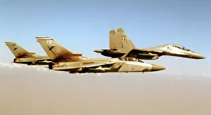 Panavia Prints: Sukhoi Su-30MKI SB038 - Panavia Tornado F. 3s ZE982 & ZE342