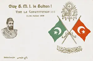 Sultan Abdul Hamid II of Turkey - Constitution