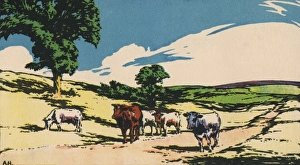 Live Stock Collection: Summer by Adrian Hill