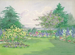 Andrews Gallery: A Summer Border - Gardens