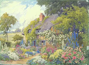 Summer colour