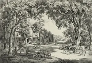 Summer in the country