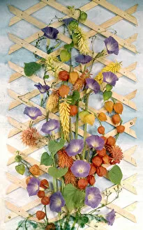 Mauve Gallery: Summer flower arrangement with trellis
