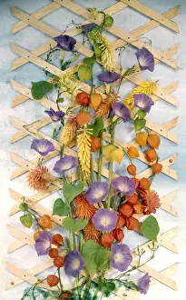 Trellis Prints: Summer flower arrangement with trellis