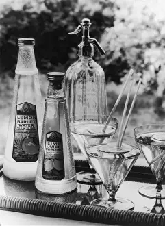 Barley Prints: Summer Fruit Drinks