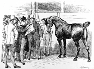 Images Dated 22nd June 2004: The Summer Horse Show, Islington, 1892