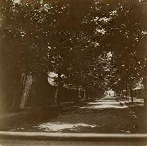 Shade Prints: Summer scene in Longfield Avenue, Ealing, West London