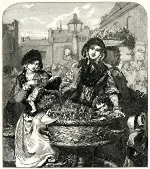 Summer - The Strawberry Girl 1849