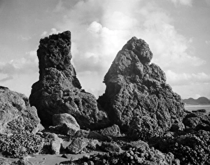 Images Dated 17th May 2011: Summit of Great Orme