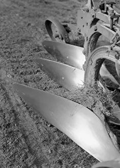 Blades Prints: Sun on steel. Old plough blades shining in the sun