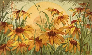 Flowering Gallery: Sun and Sunflowers Date: 1885