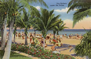 Miami Prints: Sunbathers under the palm trees on Miami Beach, Florida, USA Date: 1941