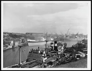 Cranes Collection: Sunderland Docks