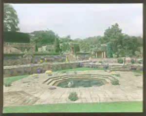 Shrub Prints: Sunken garden, St Catherines Court, near Bath