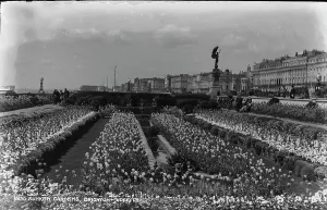 Sunken Prints: Sunken Gardens in Brighton