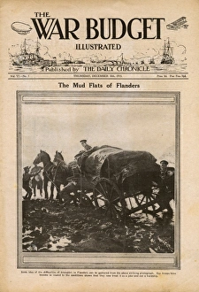 Images Dated 6th April 2017: Sunlight soap advertisement, WW1