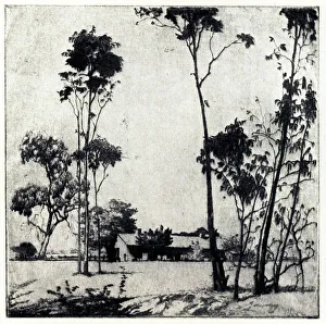 Drypoint Prints: The Sunlit Homestead