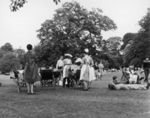 Boom Gallery: Sunny Park Scene