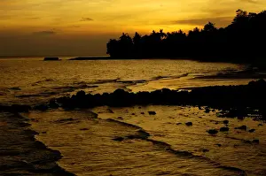 Rainforests Prints: Sunset over a beach and rainforest on slopes of