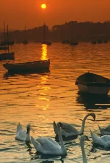 Graceful Gallery: Sunset over Falmouth harbour, Cornwall
