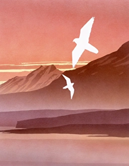 Birds Collection: A sunset Fantasy landscape