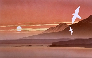 Birds Collection: A Sunset Fantasy landscape