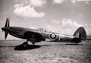 Seafire Prints: Supermarine Seafire F47 proto