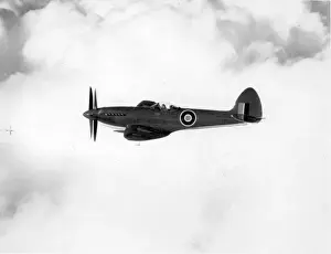 Seafire Prints: Supermarine Seafire F47 PS946