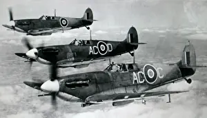 Trio Prints: Supermarine Seafire IIC trio (forward view) aloft