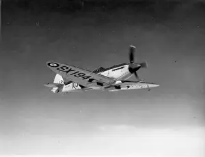 Supermarine Seafire XVII SX194