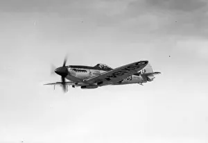 Seafire Prints: Supermarine Seafire XVII SX194