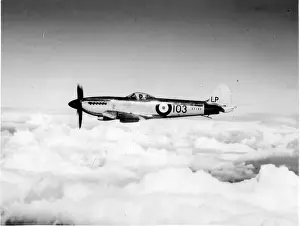 Supermarine Seafire XVII SX194