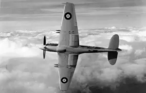 Supermarine Spiteful