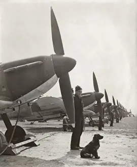 Supermarine Spitfire 1 / I