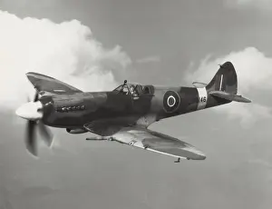 Supermarine Spitfire 14 / XIV